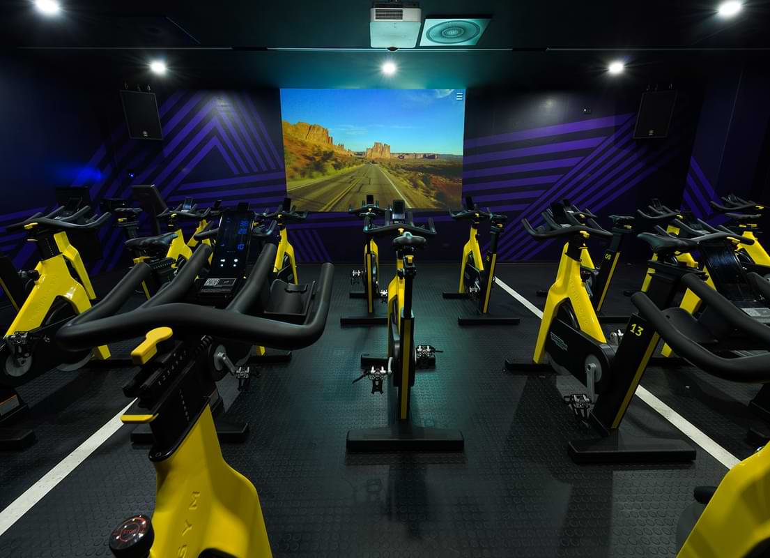 Cycle Studio